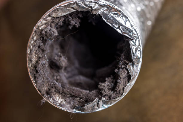 Best Ventilation Cleaning Services  in North Bend, OH